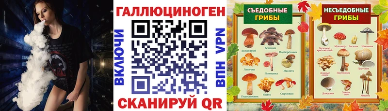 МЕГА сайт  закладки  darknet Telegram  Псилоцибиновые грибы GOLDEN TEACHER  Верхоянск 